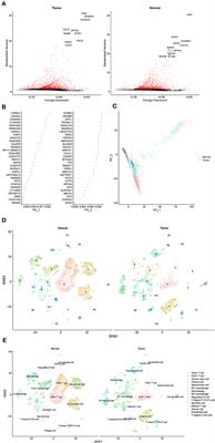 Prognostic Implication of the Expression Level of PECAM-1 in Non-small Cell Lung Cancer